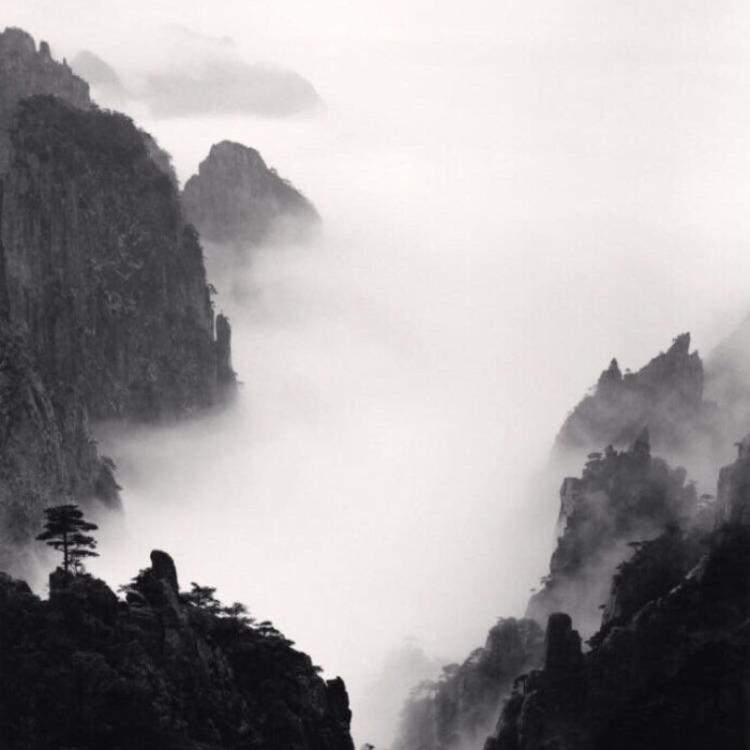 四乃森苍紫（身份：御庭番众前任首领、“天才忍者”） - 欧美电影中字在线观看 - 网络直播